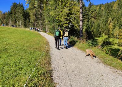 Wanderung durch Seefeld